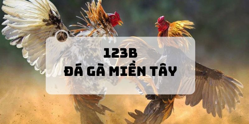 Đá Gà Miền Tây 123b