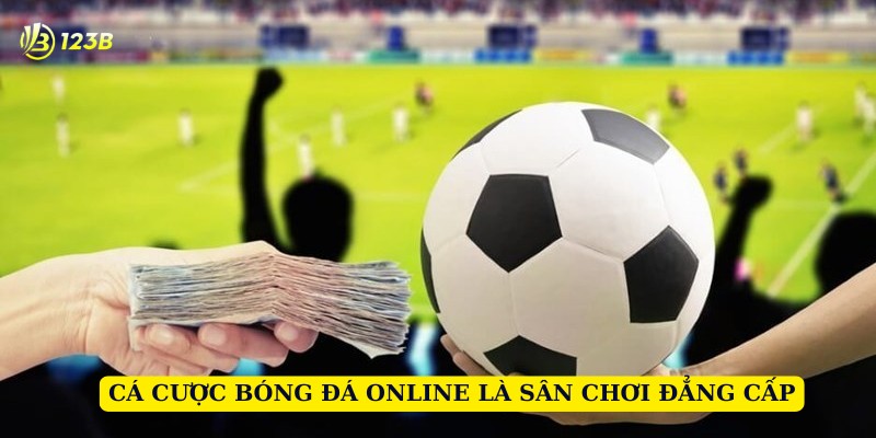 Cá cược bóng đá online luôn là sân chơi hấp dẫn nhất